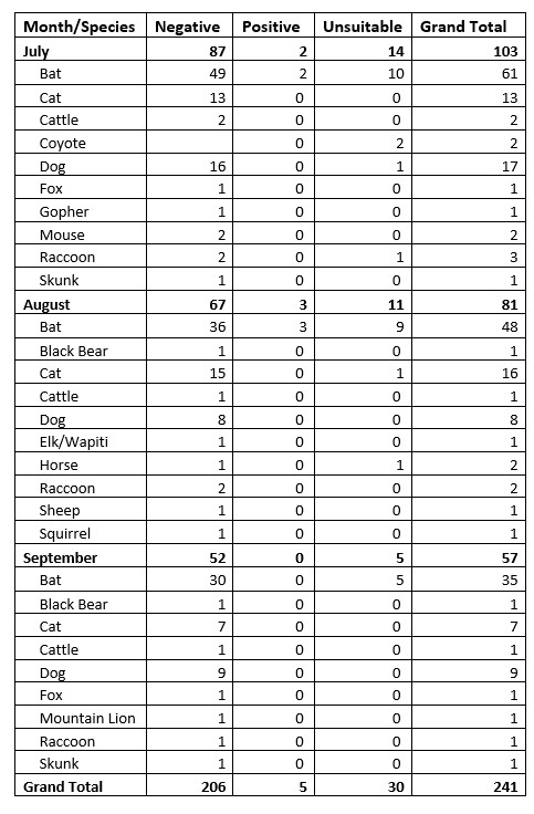 FY25 Q1 15