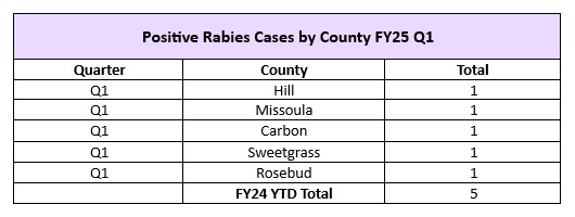 FY25 Q1 17