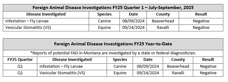 FY25 Q1 22