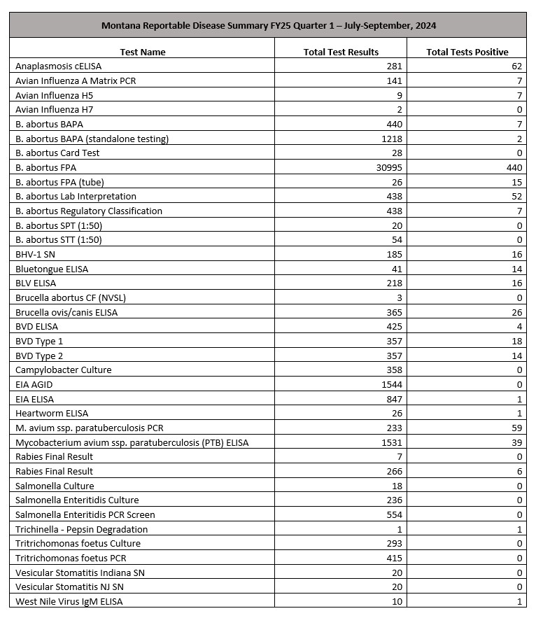 FY25 Q1 23