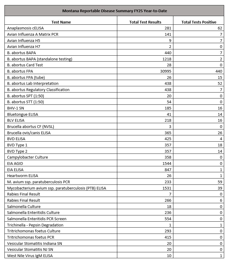 FY25 Q1 24