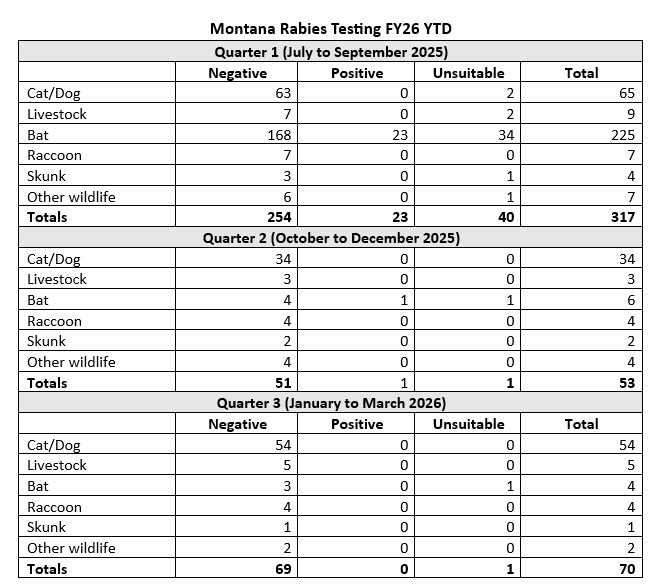Table listing negative, positive, and unsuitable rabies test results for various animal types in FY26 YTD.