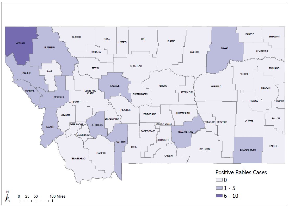 Rabies Cases - FY2023