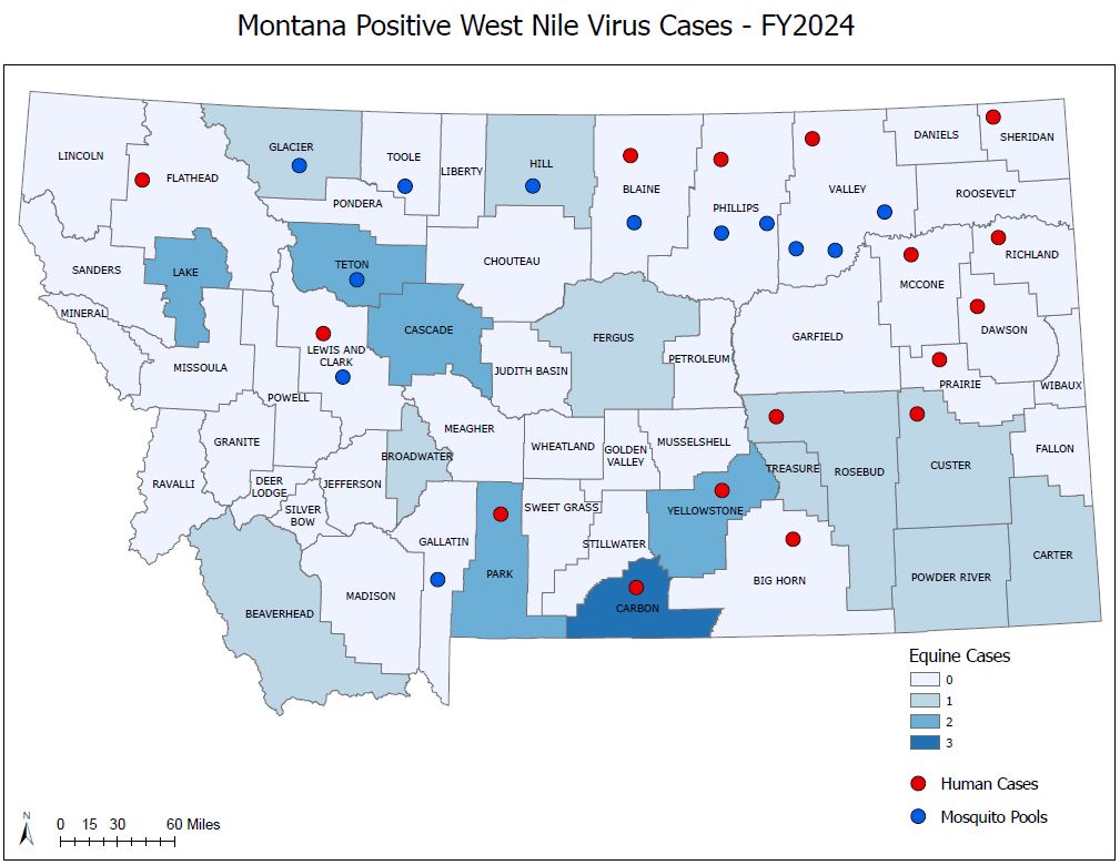 FY2023 WNV