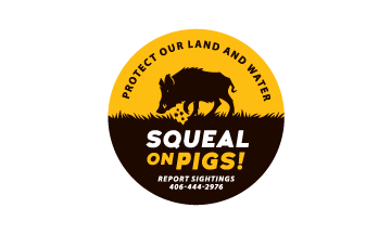 Squeal on Pigs logo