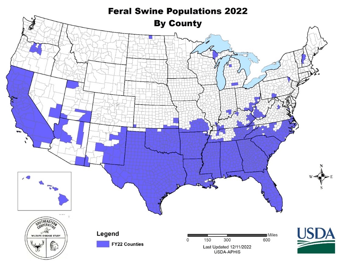 Feral Swine Map